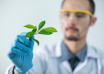 PAGE Optimization: Expert Tips for Protein Electrophoresis and Western Blotting Success