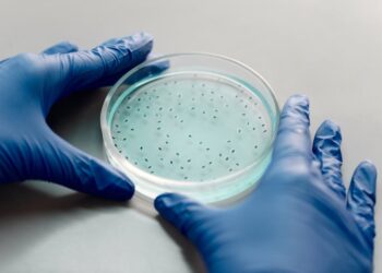 Light-Controlled Protein Dynamics: Illuminating Function in Real-Time Bacterial Cells