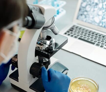 Assessment of MUC1 Expression Using Dot Blot Assay with Hexaplicates in Cell Lines: Implications for Cancer Research