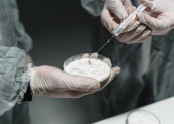 Exploring the Precision of the ICT SD Strip Method via Enzyme-Linked Immunosorbent Assay (ELISA) Analysis