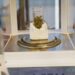 How Quantitative IHC Assays Could Revolutionize Breast Cancer Testing Accuracy