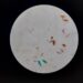 Comparative FISH Analysis of Mantle Cell Lymphoma in Peripheral Blood: Evaluating Diagnostic Utility Against Immunophenotypic and Morphologic Criteria